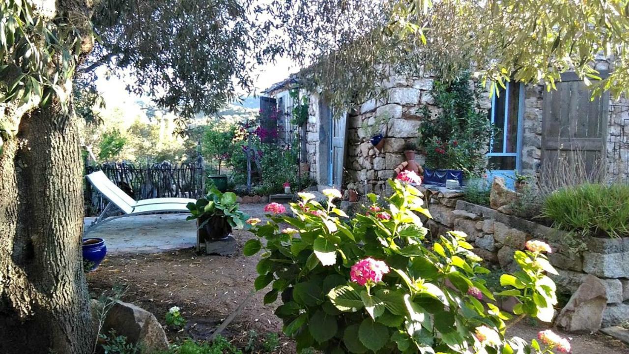 Stazzu La Capretta Farm Camping & Guest Rooms Olbia Exterior foto